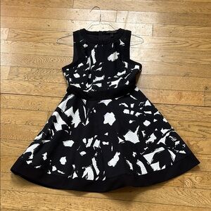 Stylish Black and White  Dress